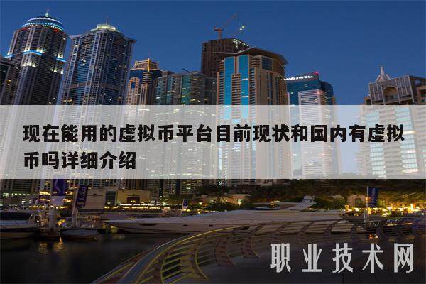 现在能用的虚拟币平台目前现状和国内有虚拟币吗详细介绍-第1张图片-火网下载