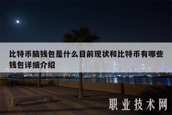 比特币脑钱包是什么目前现状和比特币有哪些钱包详细介绍-第1张图片-火网下载