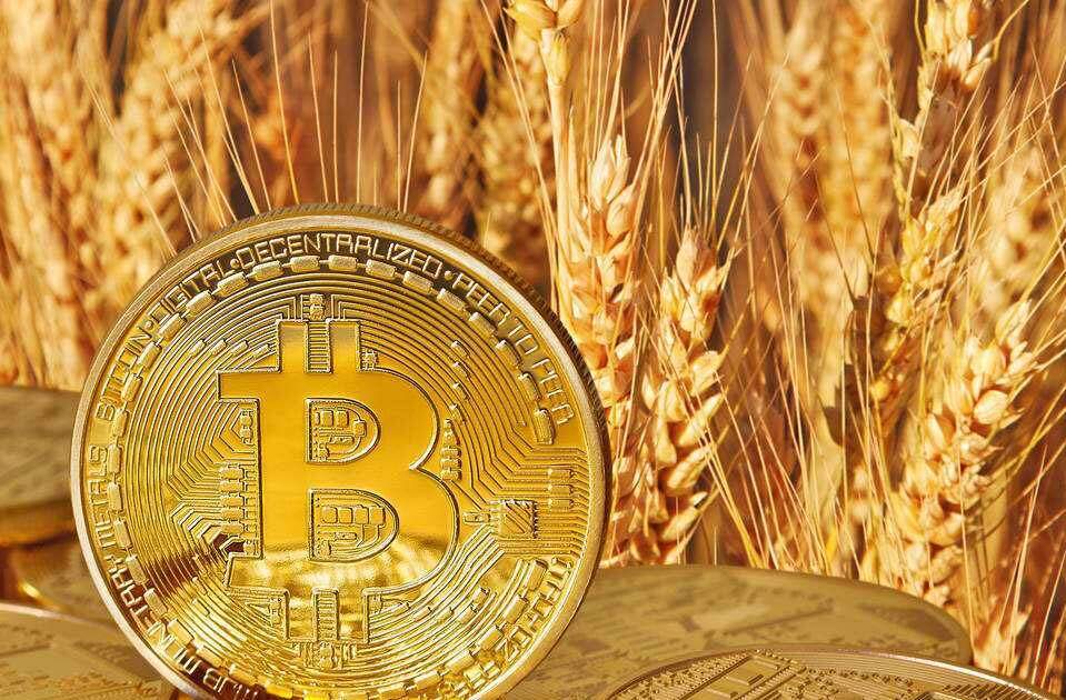 比特币波段是什么意思（比特币波段的做法）-第1张图片-火网下载