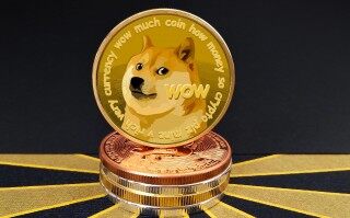 火网扩大对狗狗币的支持，DOGE价格将上涨至 0.1 美元？