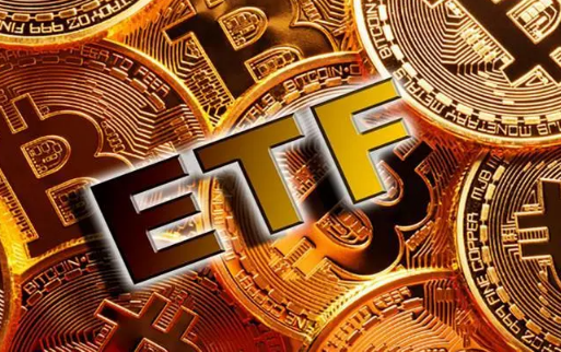 Swan CEO：ETF、减半、升级——2024年比特币的预期-第1张图片-火网下载