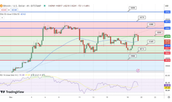 随着BTC上涨5.30%至43000美元　能否持续这种增长？-第2张图片-火网下载