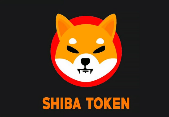 SHIB前五名持有者是谁？-第1张图片-火网下载