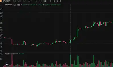 50天买入18亿美元BTC-第1张图片-火网下载