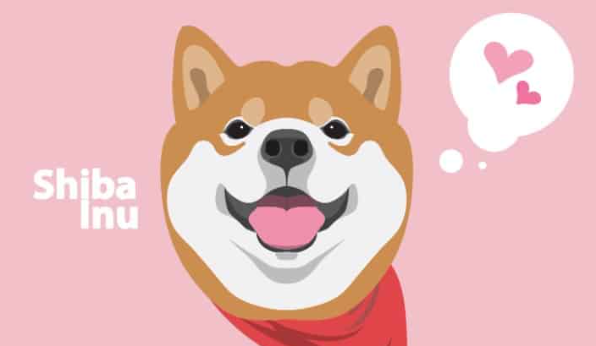 SHIB筹集了超过130万美元-第1张图片-火网下载