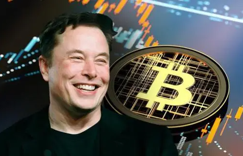 马斯克谈比特币和货币-第1张图片-火网下载