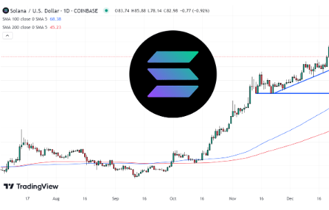 SOL在24小时内下跌8.9%-第1张图片-火网下载