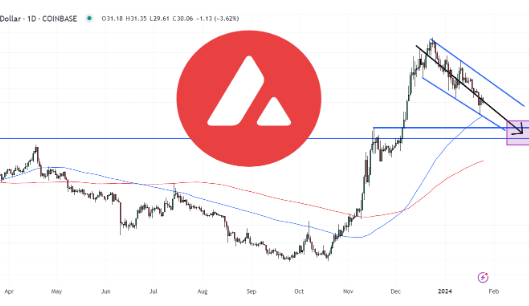 分析师预测AVAX价格接近底部-第1张图片-火网下载