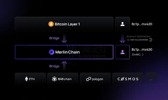 比特币生态普跌时为什么只有BRC-420在涨？-第3张图片-火网下载