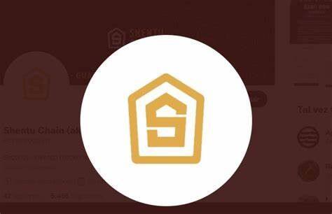 什么是Shentu(CTK)币-第1张图片-火网下载