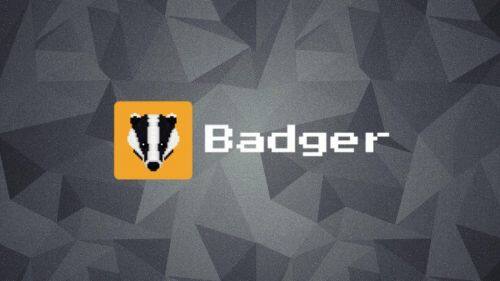 什么是Badger DAO币-第1张图片-火网下载