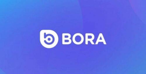 什么是BORA币-第1张图片-火网下载