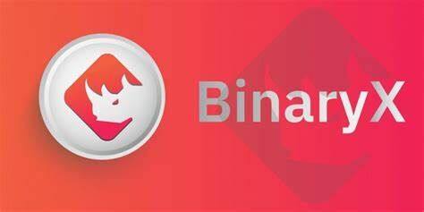 什么是BinaryX币-第1张图片-火网下载