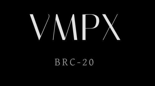 VMPX(Ordinals)币是什么?-第1张图片-火网下载