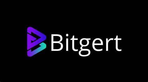 什么是Bitgert(BRISE)币-第1张图片-火网下载