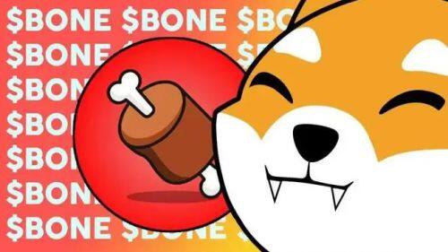 什么是Bone ShibaSwap(BONE)币-第1张图片-火网下载