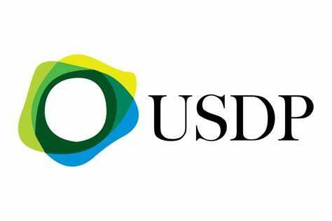 Pax Dollar(USDP)币种介绍-第1张图片-火网下载