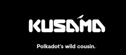 Kusama(KSM)币是什么-第1张图片-火网下载