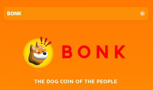 Bonk币是什么币种-第1张图片-火网下载