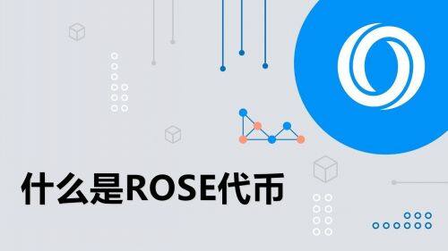 什么是Oasis币-第1张图片-火网下载