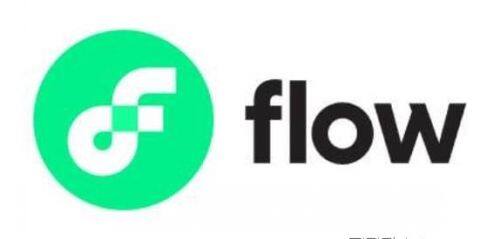 FLOW是什么币种？-第1张图片-火网下载