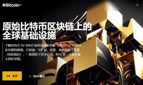 BSV币是什么币种-第1张图片-火网下载