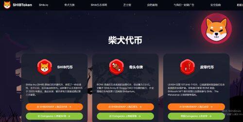 SHIB币值得投资吗-第1张图片-火网下载
