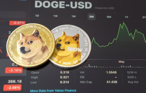 错过了2021年的狗狗币激增-第1张图片-火网下载