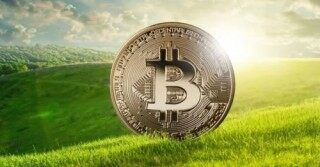 AUCTION多少钱一枚？AUCTION价格实时行情