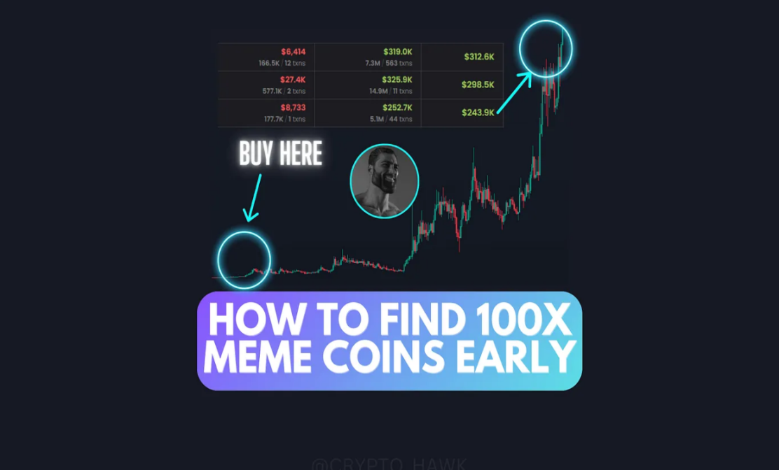 实用帖：如何埋伏下一个百倍Meme？-第1张图片-火网下载