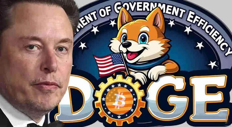 DOGE币是什么 Department of Government Efficiency能买吗-第1张图片-火网下载