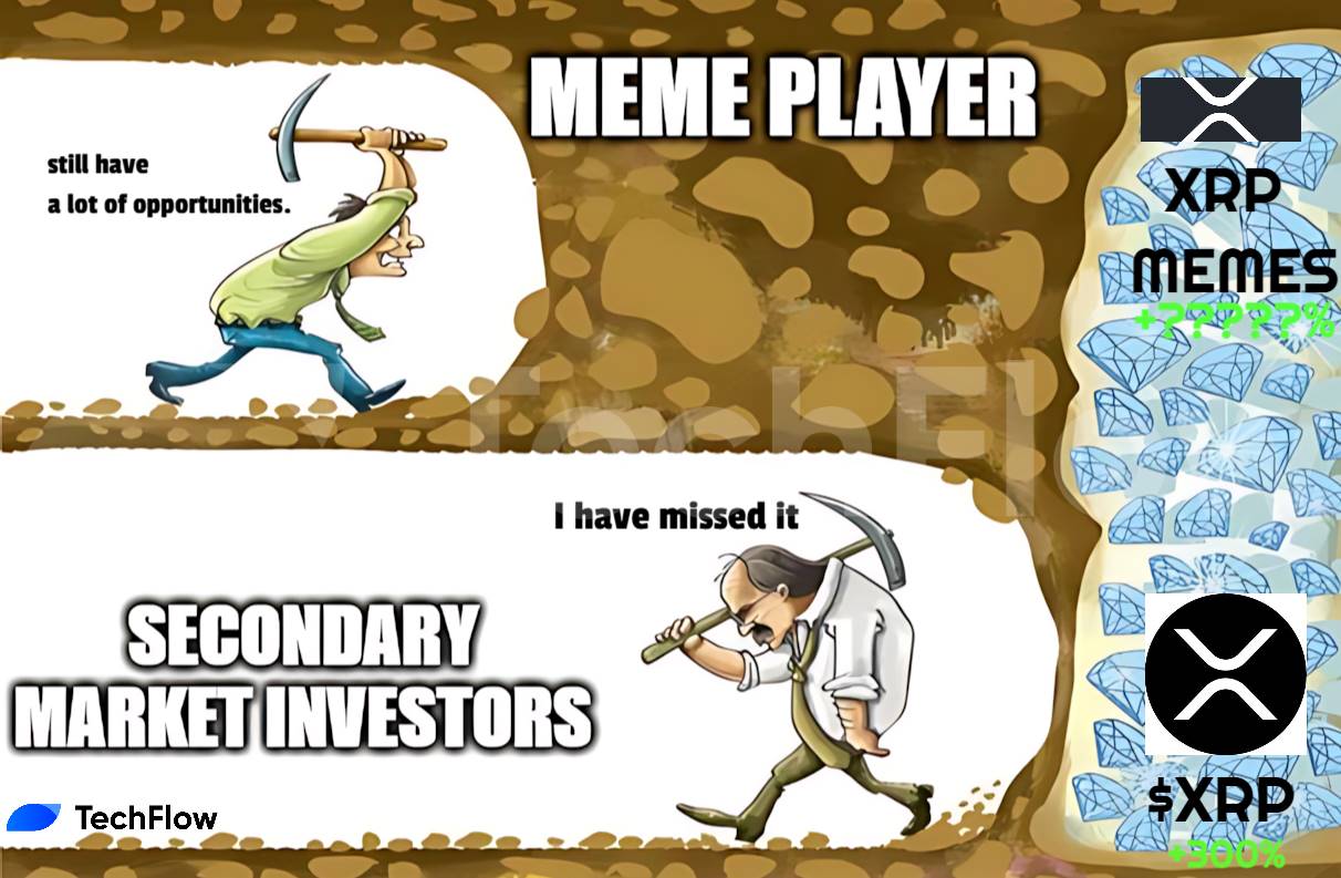 XRP涨幅惊人，瑞波生态内的热点Meme币更值得关注（附参与教程）-第1张图片-火网下载