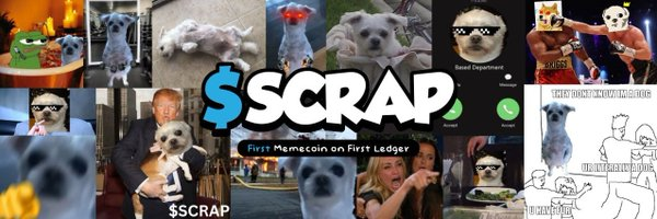 XRP涨幅惊人，瑞波生态内的热点Meme币更值得关注（附参与教程）-第5张图片-火网下载