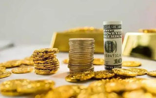 Goodwall携手Circle推出GoodForce计划，以USDC激励青年参与社会环保活动
