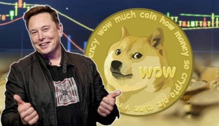 狗狗币值得投资吗 狗狗币2025年能到多少钱