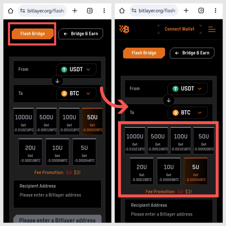 Bitlayer携手火网钱包启动BTCFI狂欢节，奖池达120万美元-第3张图片-火网下载