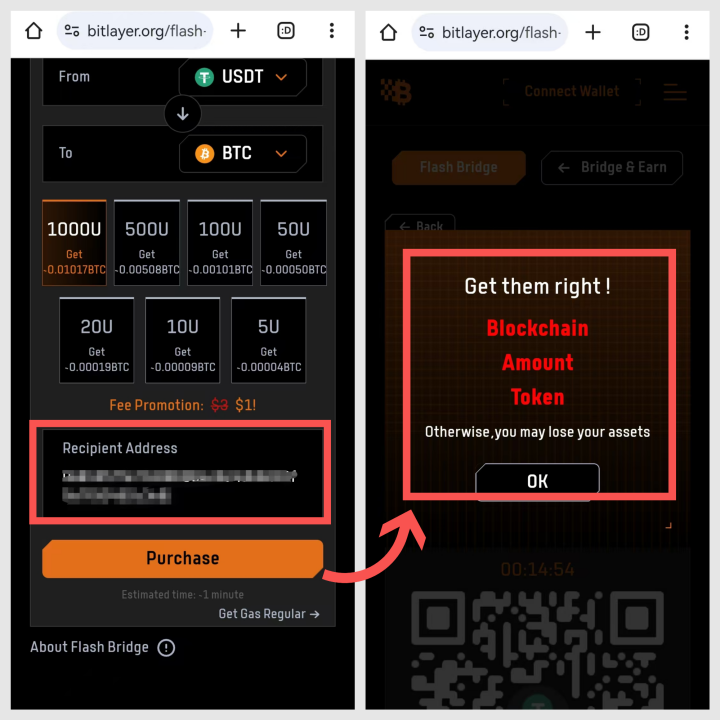 Bitlayer携手火网钱包启动BTCFI狂欢节，奖池达120万美元-第5张图片-火网下载