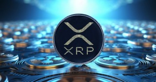 RP币是什么币 RP币去哪里交易