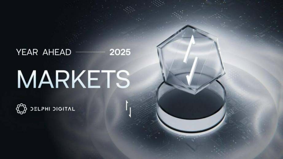 Delphi Digital 2025市场展望：乐观回归，Solana加速-第2张图片-火网下载
