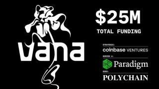复盘Vana：从实验到火网，掌控你的数据主权