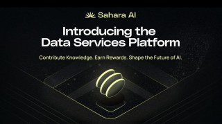 Sahara AI数据平台Beta版上线，引领去中心化AI新纪元