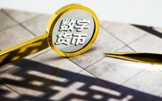 2025年实用莱特币钱包精选指南