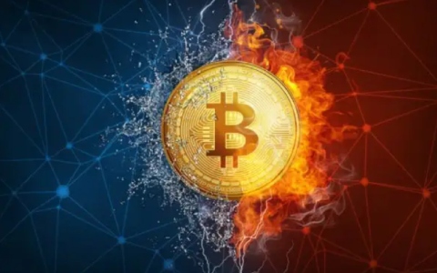 LINK币未来前景及价值预测分析-第3张图片-火网下载
