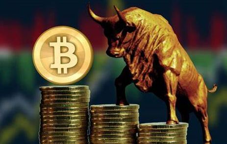 哪个软件可以看虚拟货币价格?