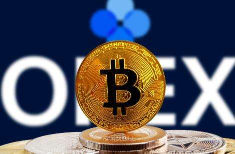 mxc交易所官网下载_mxc交易所app官网下载安装