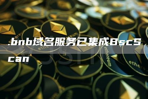 .bnb域名服务已集成BscScan1