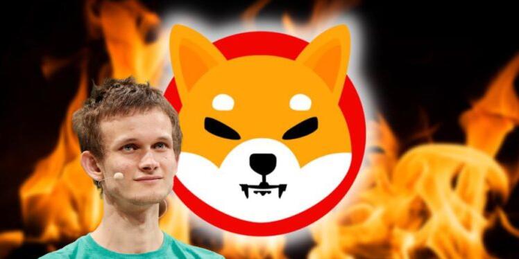 V神被设局烧毁400兆枚柴犬币！该提案鬼才浮出水面1